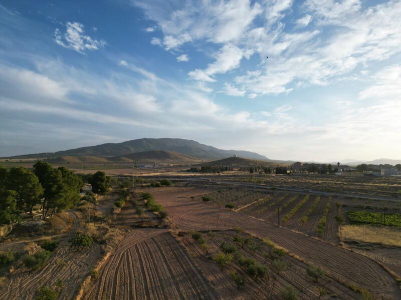 Land for sale