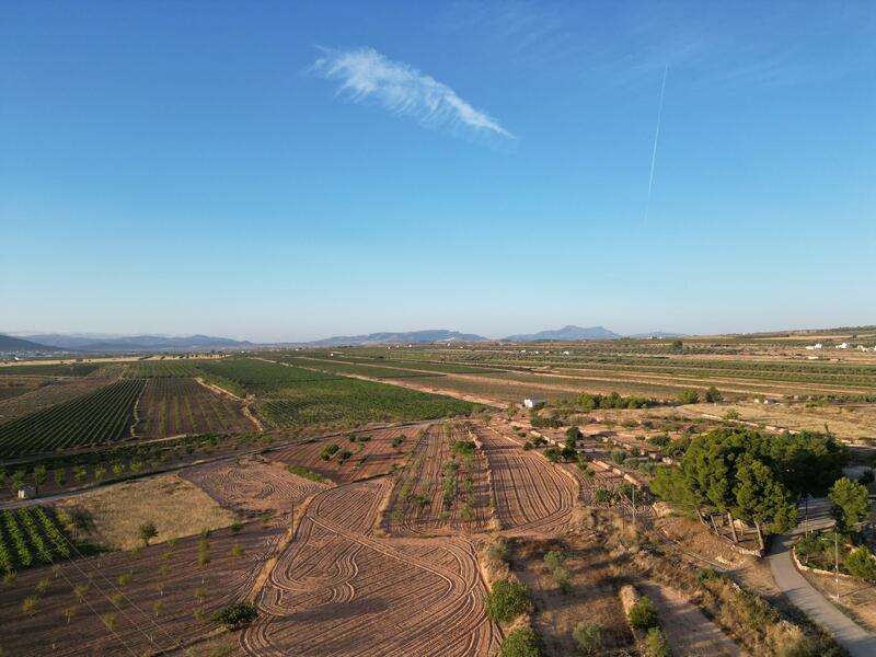 Land for sale