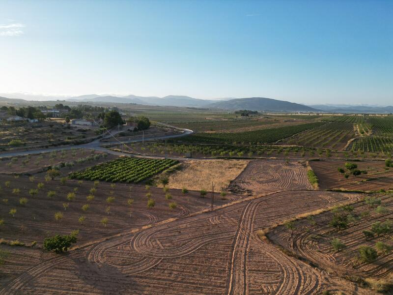 Land for sale