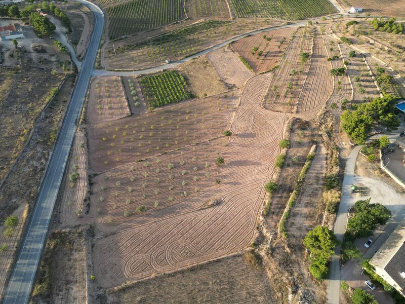 Land for sale