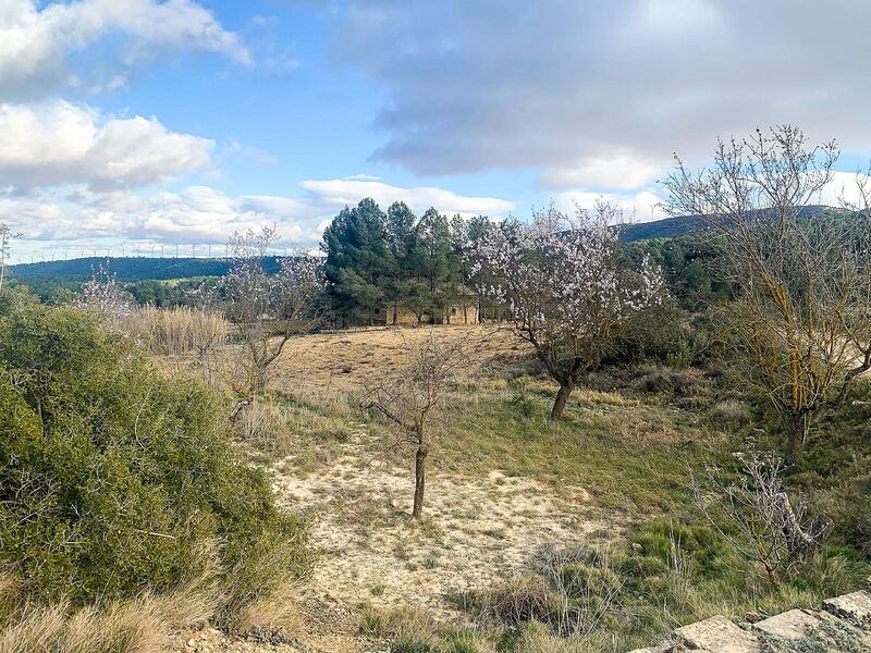 4 bedroom Country House for sale