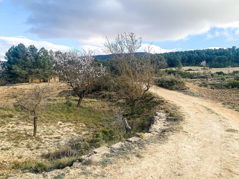 4 bedroom Country House for sale