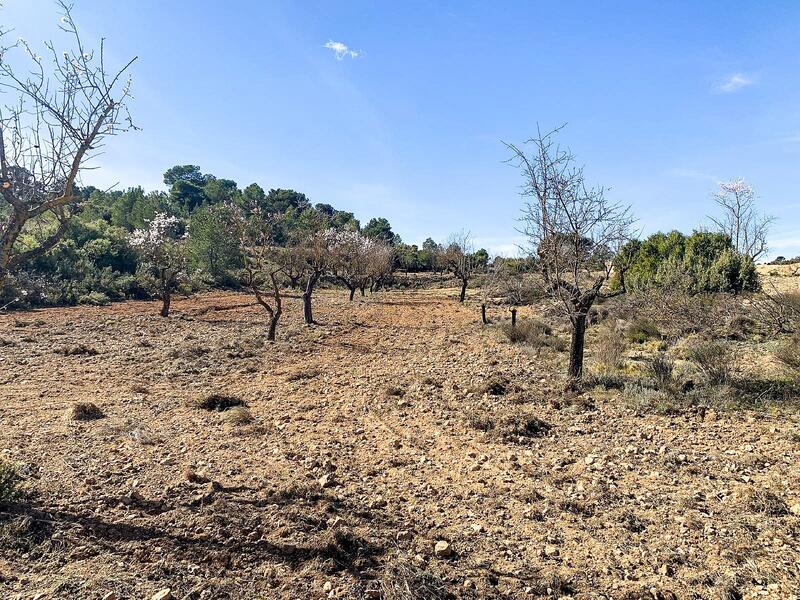 4 bedroom Country House for sale