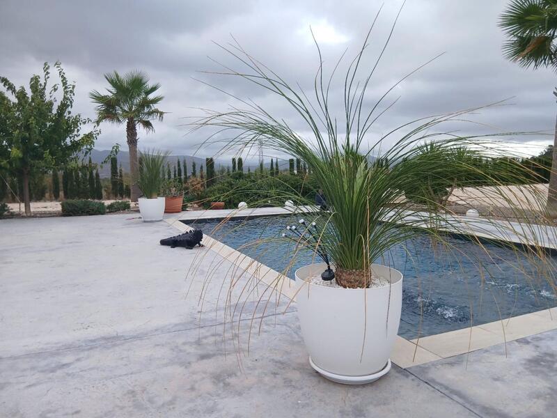 5 chambre Villa à vendre