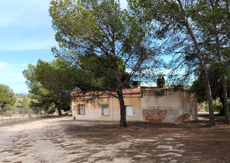 Lantställe till salu i Monóvar, Alicante
