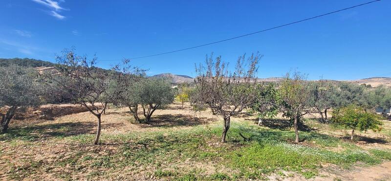 2 sovrum Villa till salu 2 sovrum Villa till salu