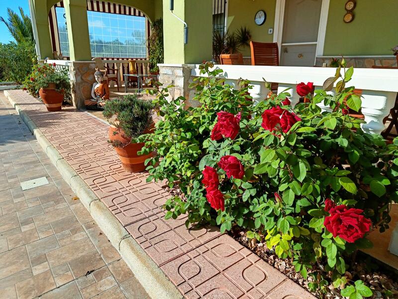 4 chambre Villa à vendre