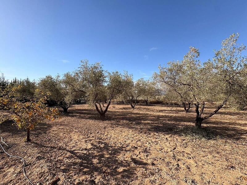 3 спальная комната Деревенский Дом продается