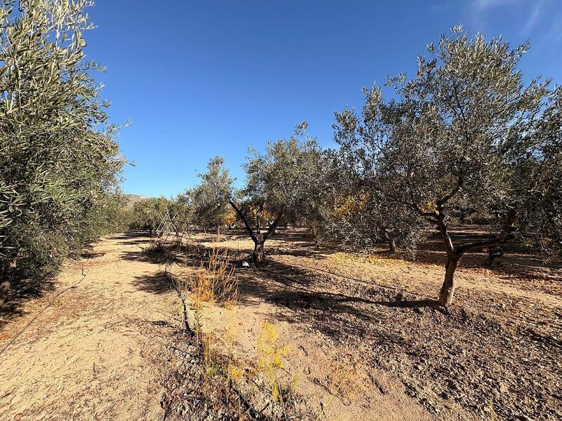 3 спальная комната Деревенский Дом продается