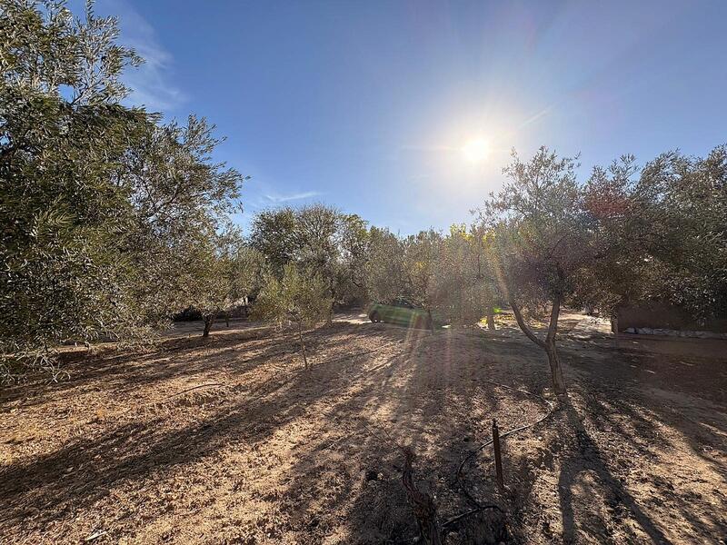 3 спальная комната Деревенский Дом продается