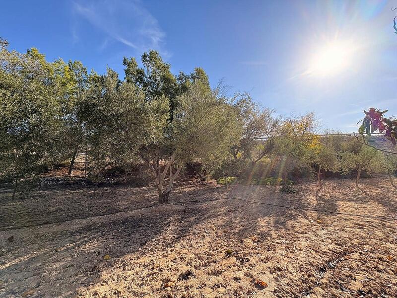 3 спальная комната Деревенский Дом продается