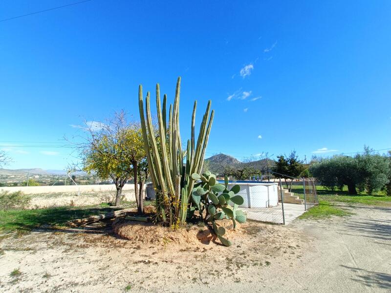 4 soveværelse Villa til salg 4 soveværelse Villa til salg