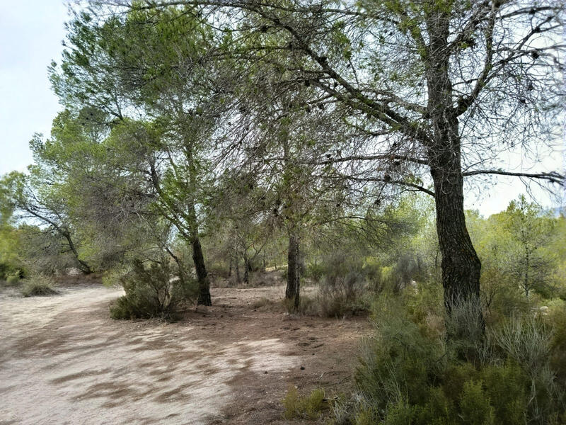 Landa till salu Landa till salu