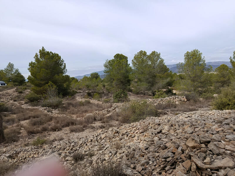 Landa till salu Landa till salu