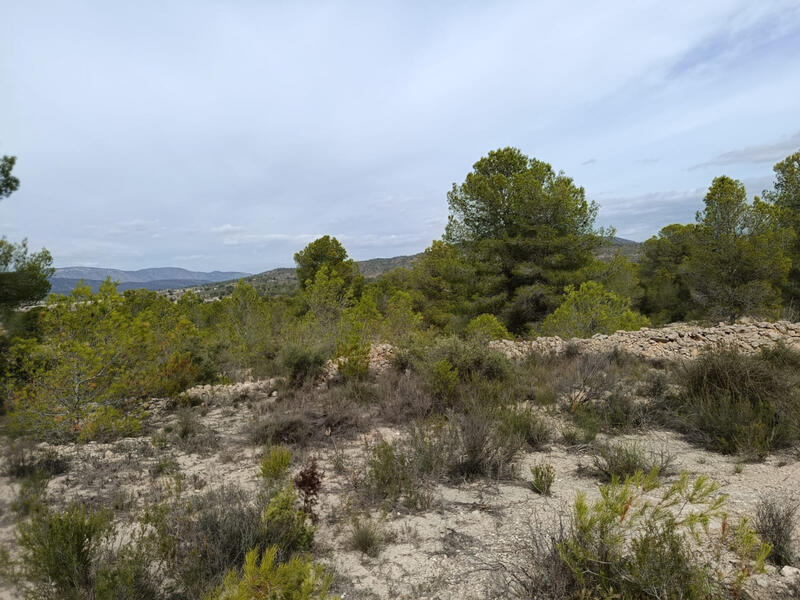 Landa till salu Landa till salu