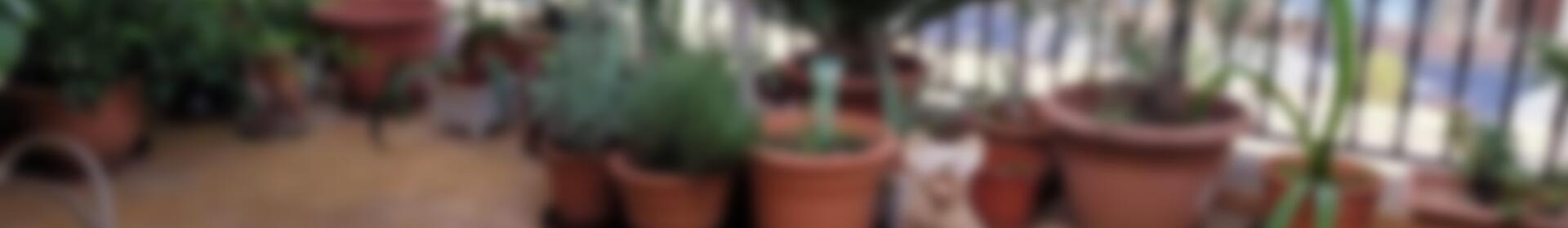 5 bedroom Townhouse for sale