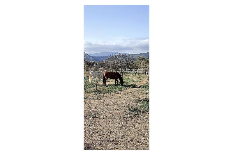 3 bedroom Country House for sale