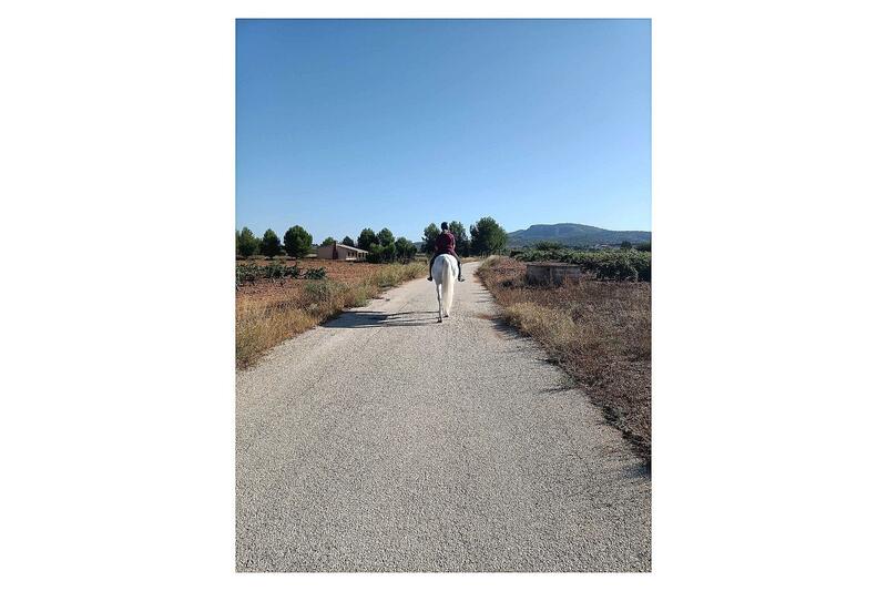 3 bedroom Country House for sale