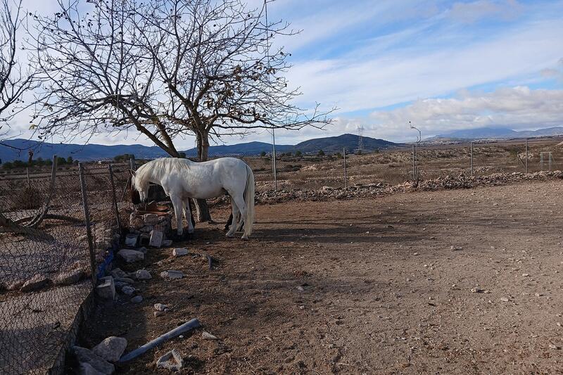 3 bedroom Country House for sale