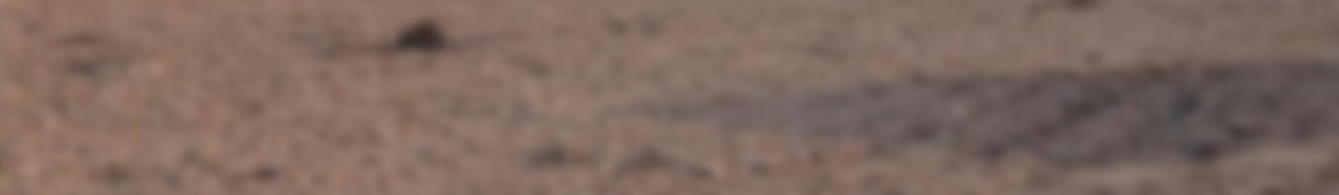 земля продается