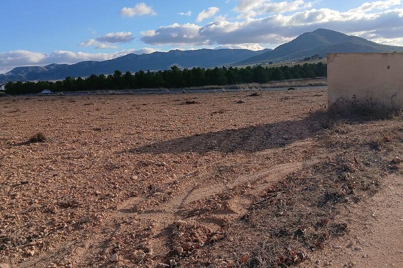 Land for sale Land for sale