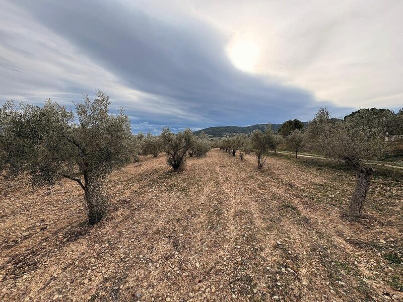 Land for sale Land for sale