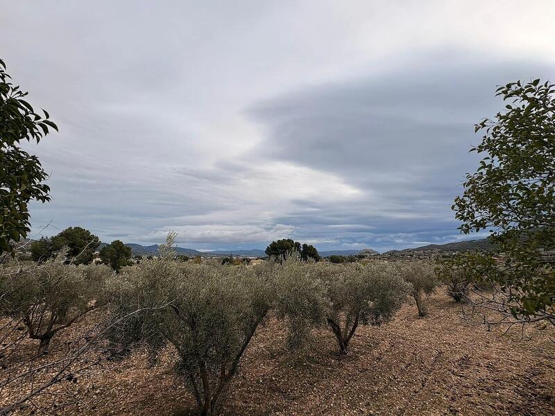 Land for sale Land for sale