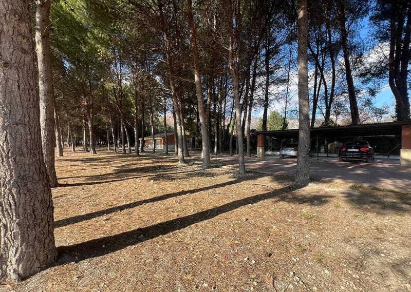 4 soveværelse Villa til salg