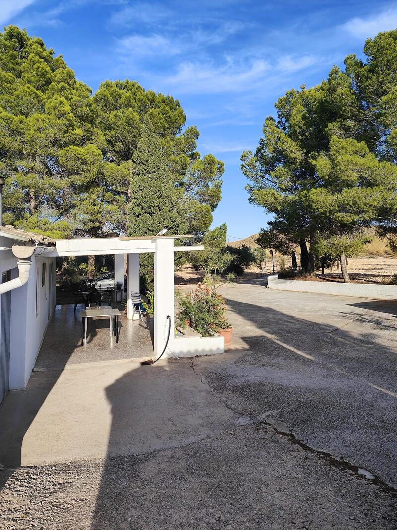 3 Cuarto Casa de Campo en venta