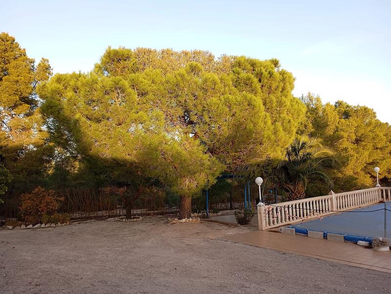 6 bedroom Country House for sale