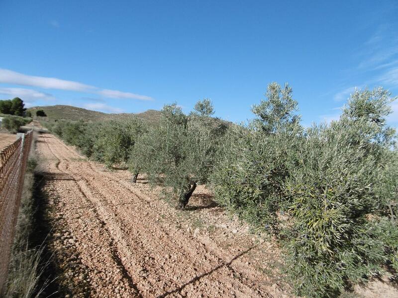 2 bedroom Country House for sale