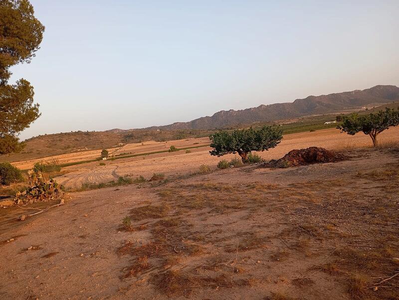 3 chambre Auberge à vendre