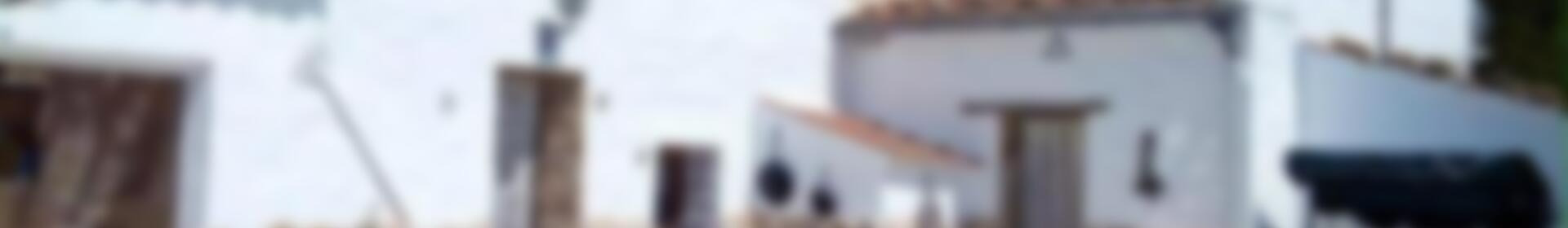 5 soverom Herregård til salgs