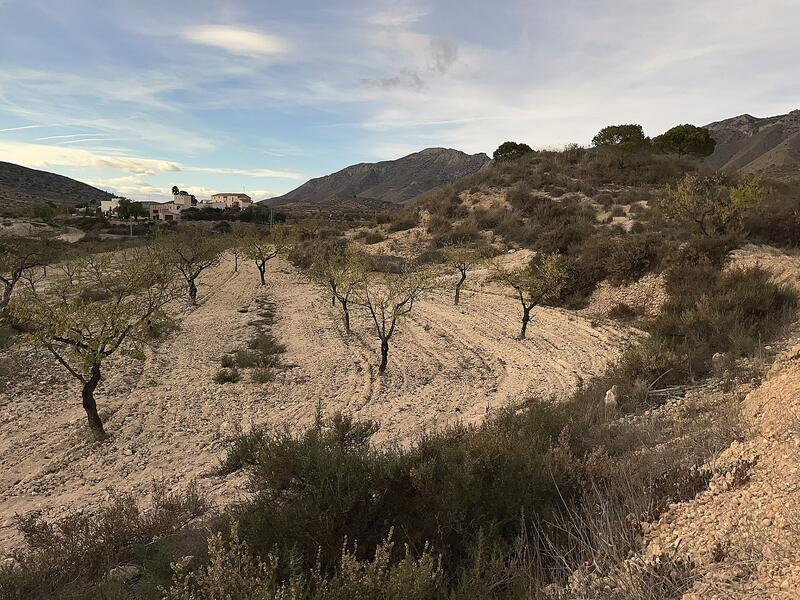 8 sovrum Lantställe till salu 8 sovrum Lantställe till salu