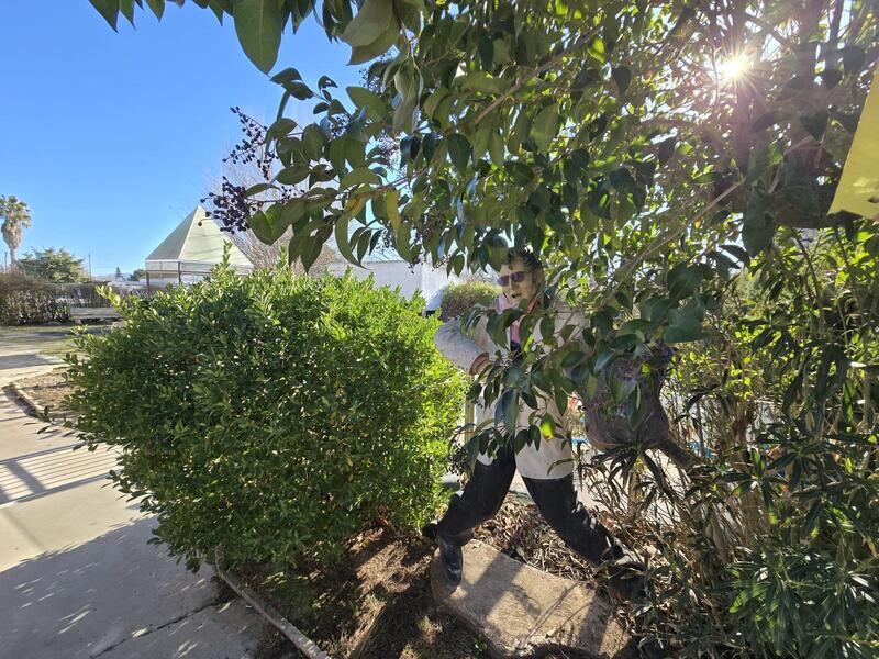 7 Cuarto Villa en venta