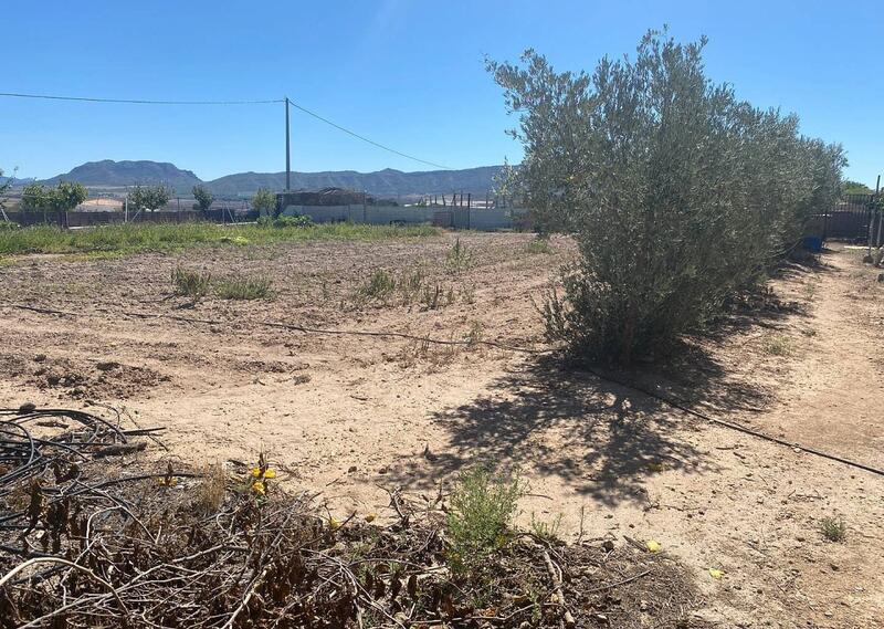 3 chambre Villa à vendre