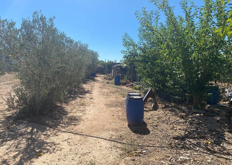 3 chambre Villa à vendre