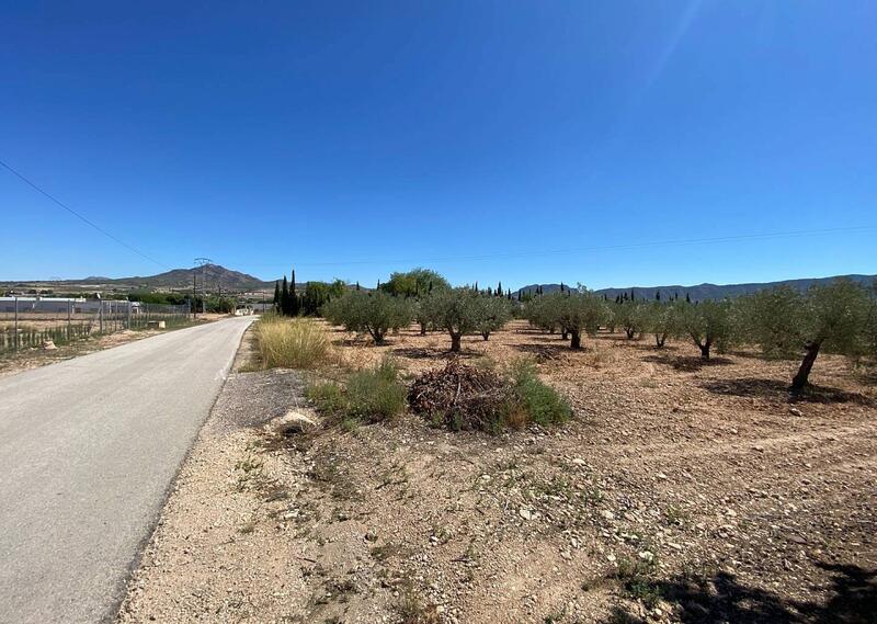 3 chambre Villa à vendre