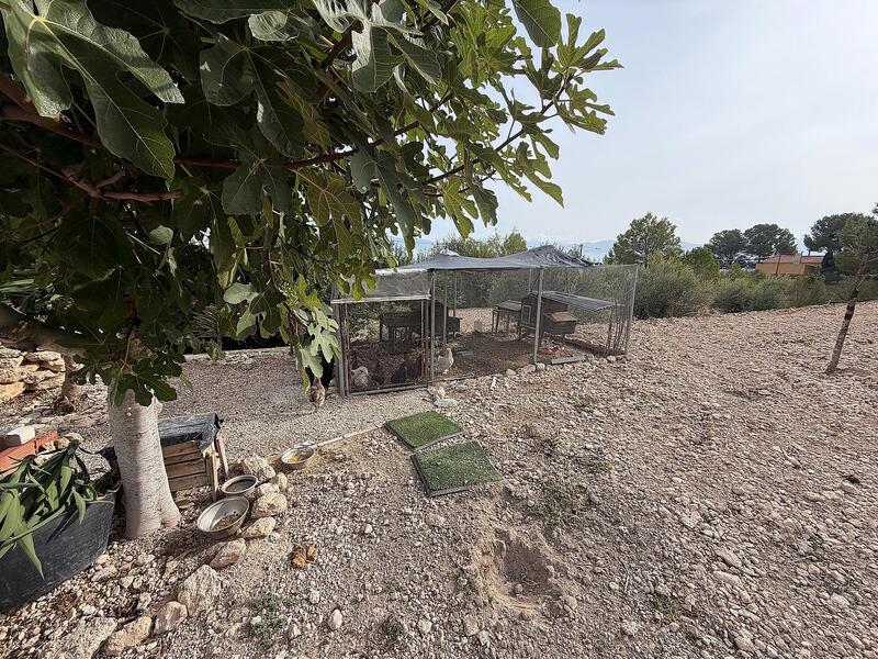 5 bedroom Villa for sale