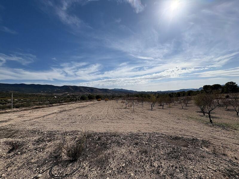 2 soveværelse Villa til salg 2 soveværelse Villa til salg