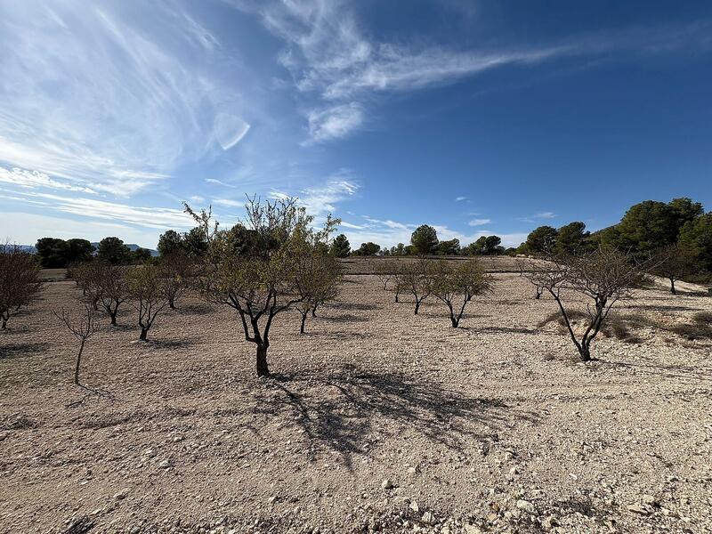 2 soveværelse Villa til salg 2 soveværelse Villa til salg