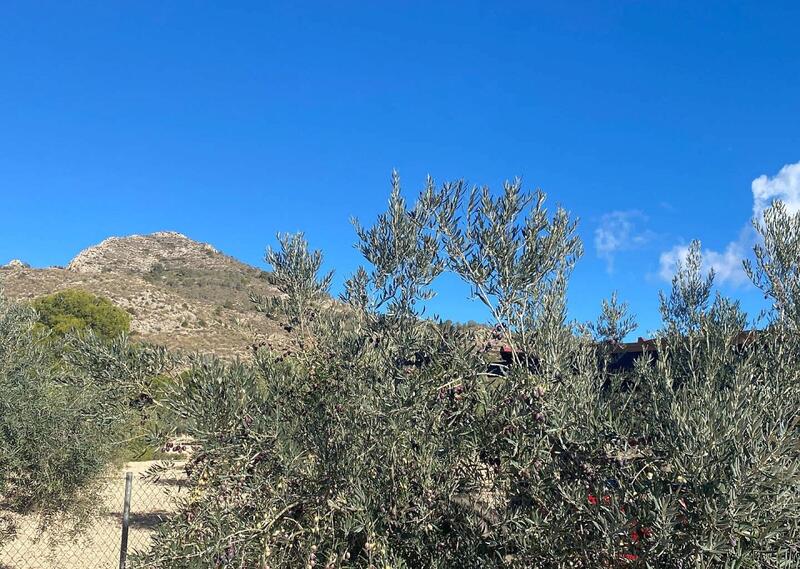 3 soveværelse Villa til salg 3 soveværelse Villa til salg