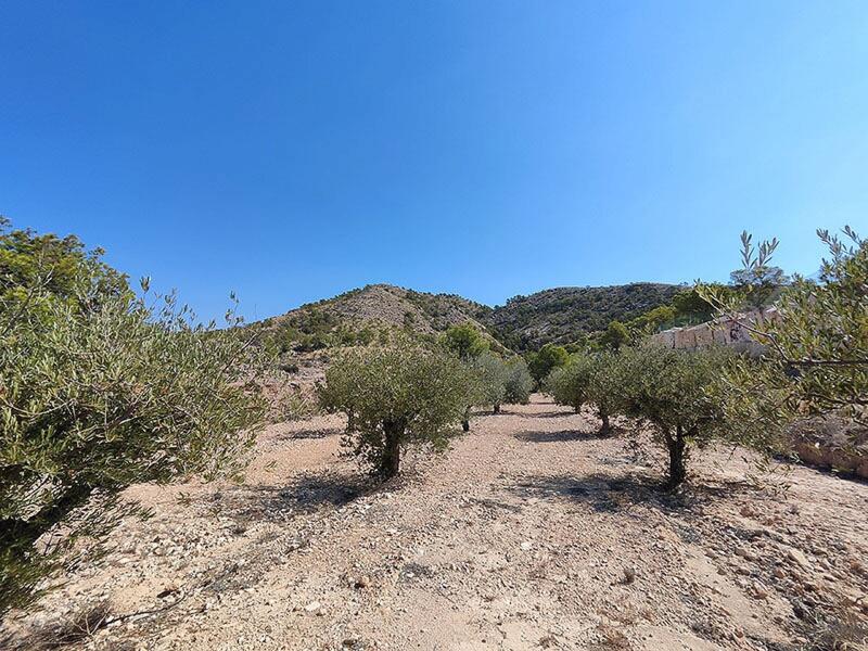 4 bedroom Villa for sale