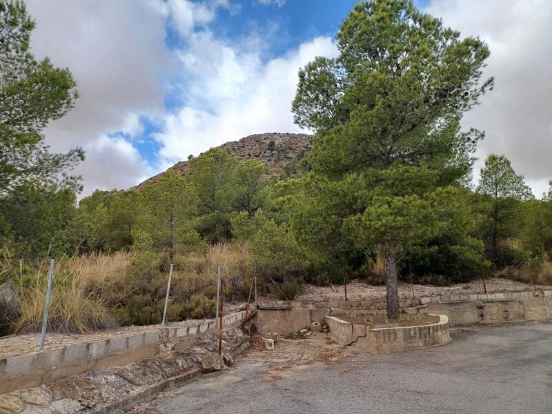 3 soverom Herregård til salgs