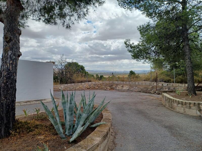 3 soverom Herregård til salgs