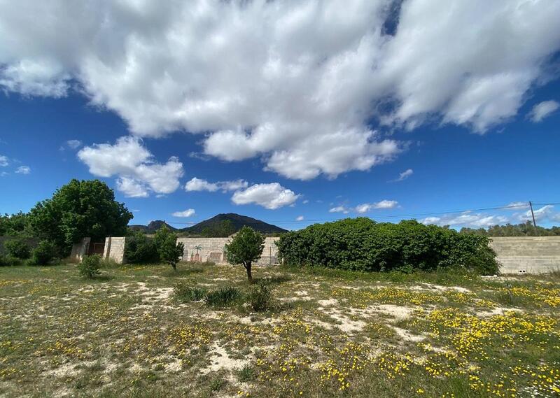 6 bedroom Country House for sale