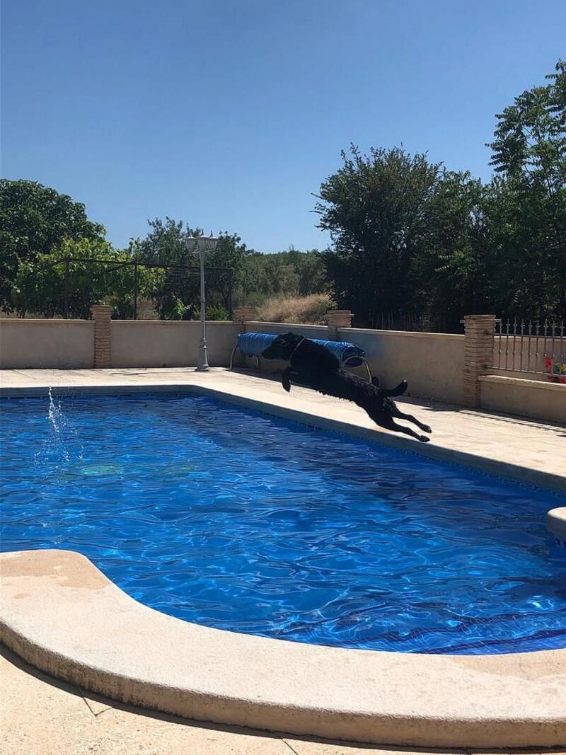 5 Schlafzimmer Landhaus zu verkaufen