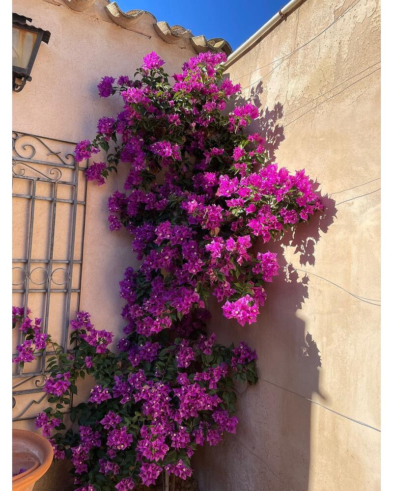 5 Schlafzimmer Landhaus zu verkaufen