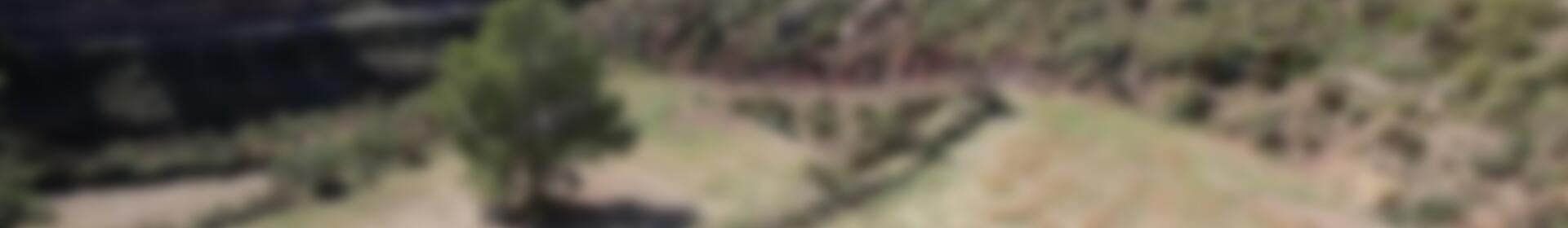 земля продается