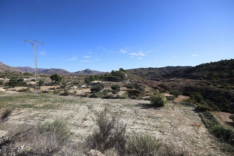 земля продается